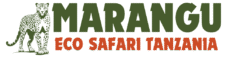 Marangu Eco Safari Tanzania
