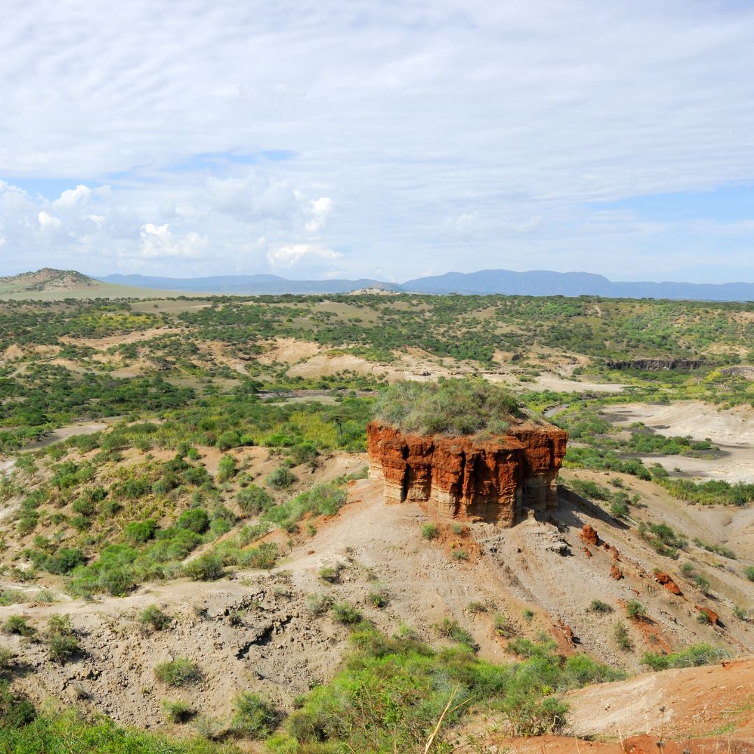 Marangu Eco Safari Tanzania(2)